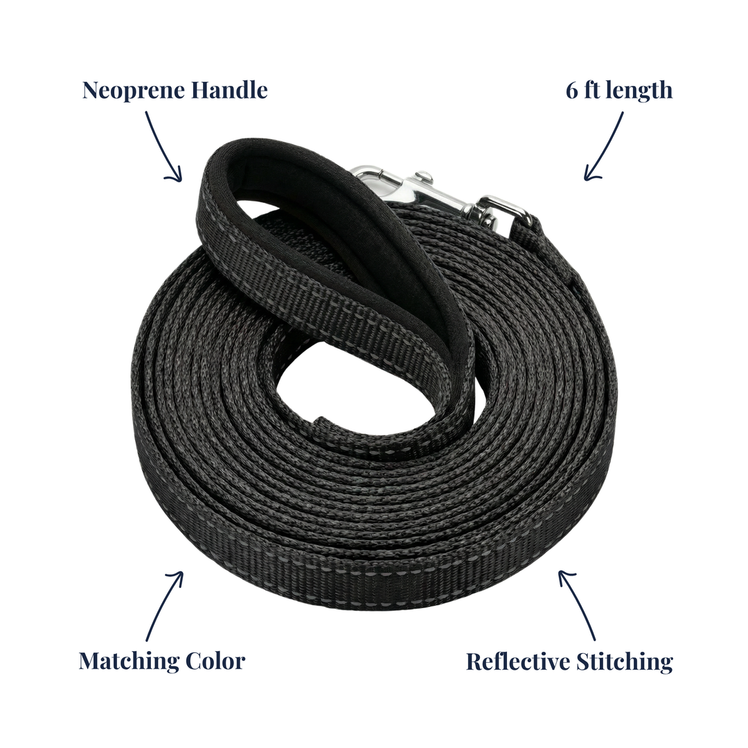 BAYCAT Harness + Leash