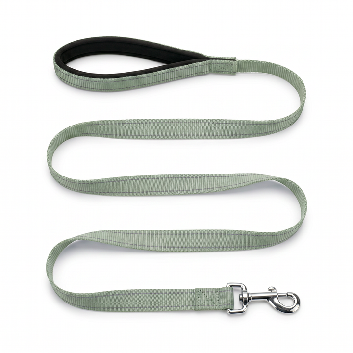 BAYCAT Harness + Leash