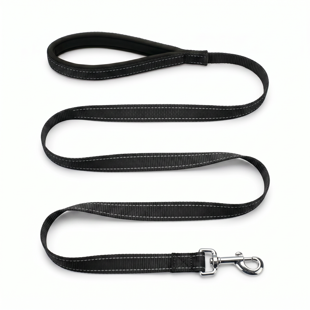 BAYCAT Harness + Leash