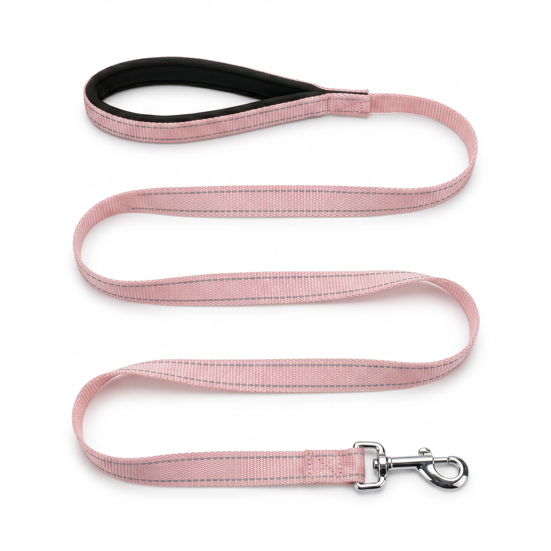 BAYCAT Harness + Leash