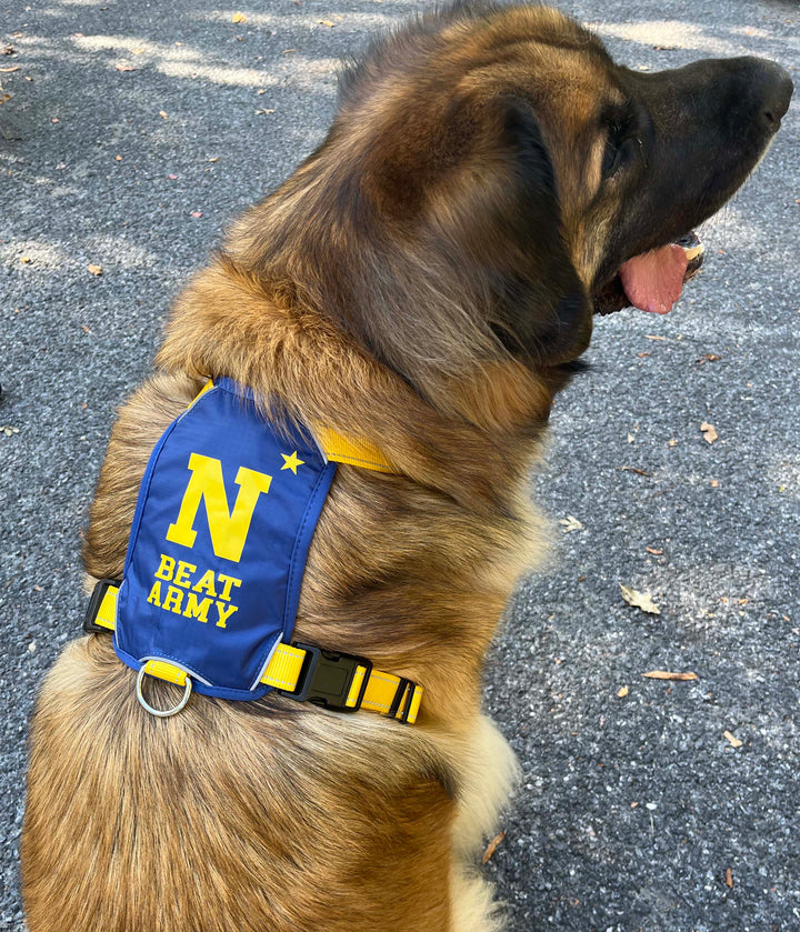 Naval Academy Dog Harness