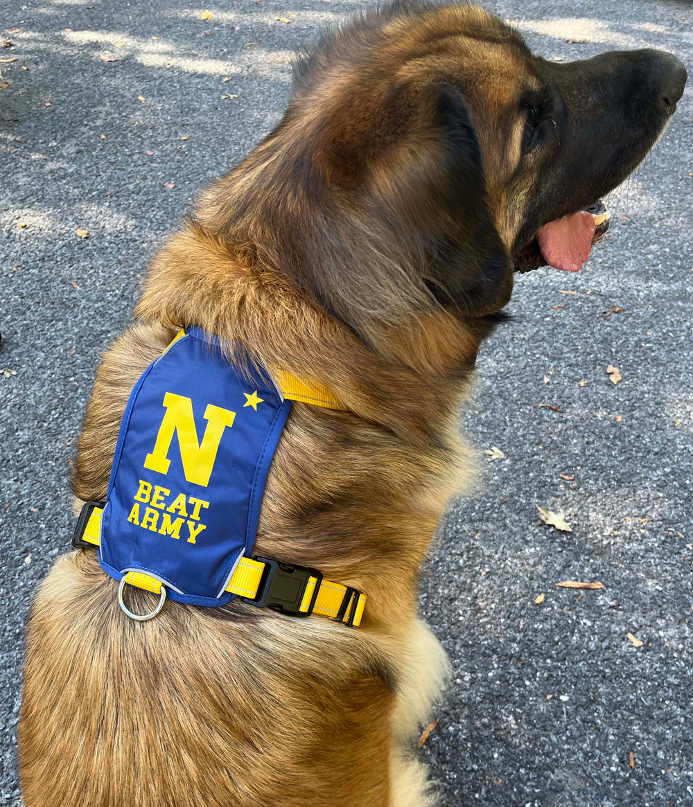 Naval Academy Dog Harness