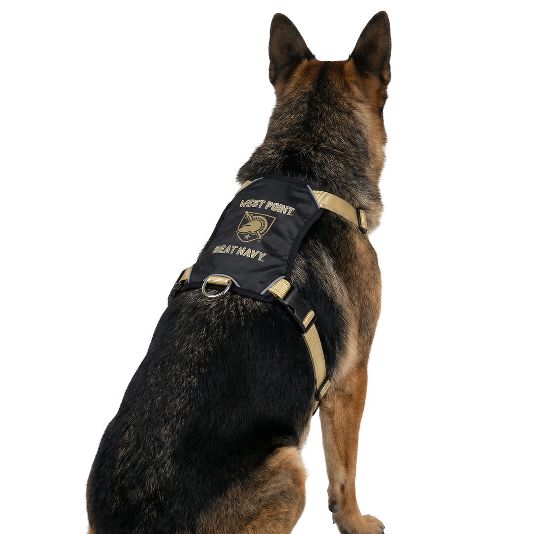 Army Black Knights Dog Harness