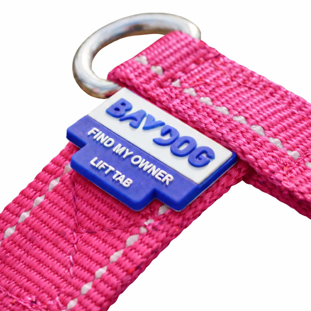 Chesapeake Bay Dog Harness