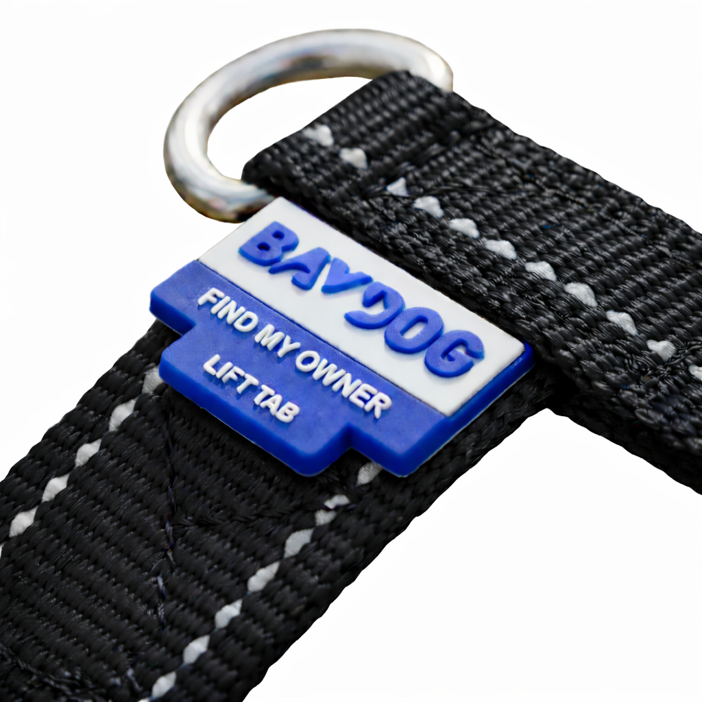 Chesapeake Bay Dog Harness