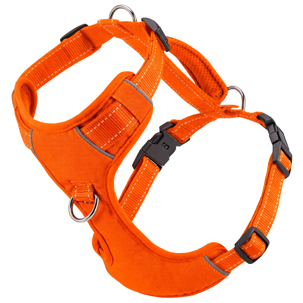 Chesapeake Bay Dog Harness