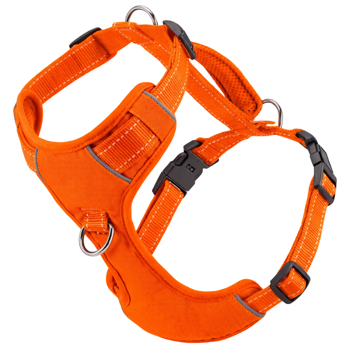 Chesapeake Bay Dog Harness