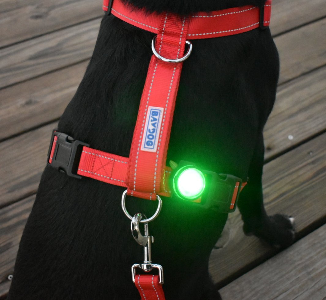 Firefly LED Safety Light