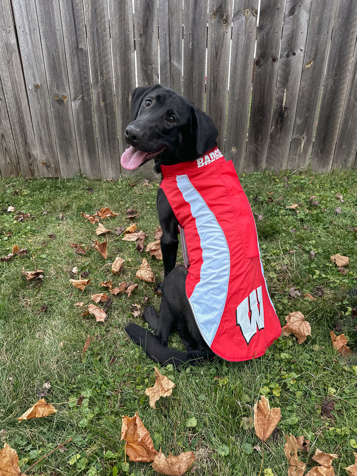 Wisconsin Badgers Dog Fleece