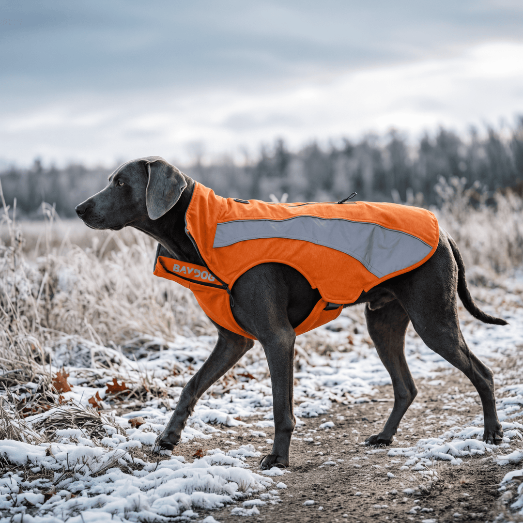 Saginaw Bay Dog Fleece