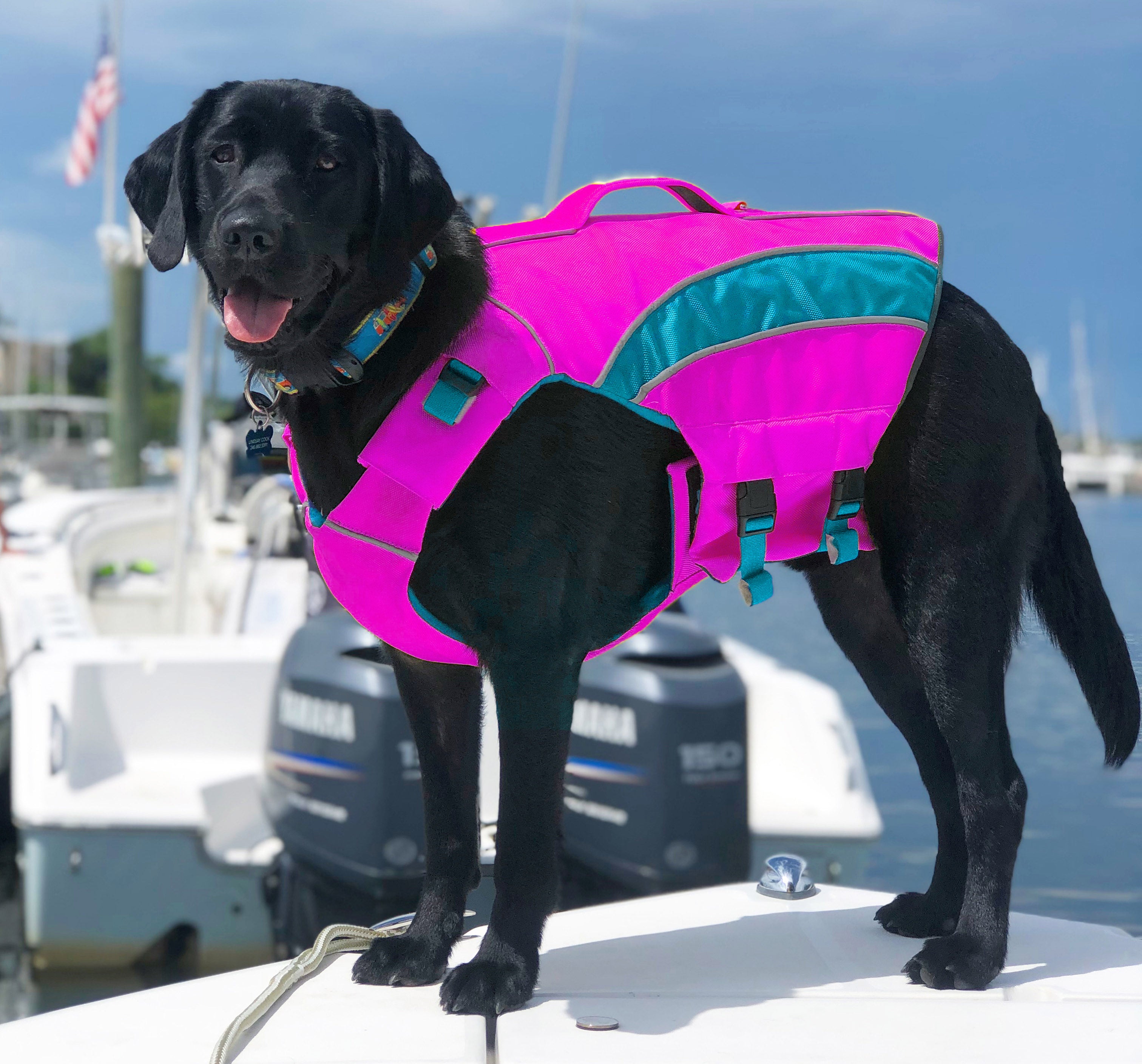 Life vest for english fashion bulldog