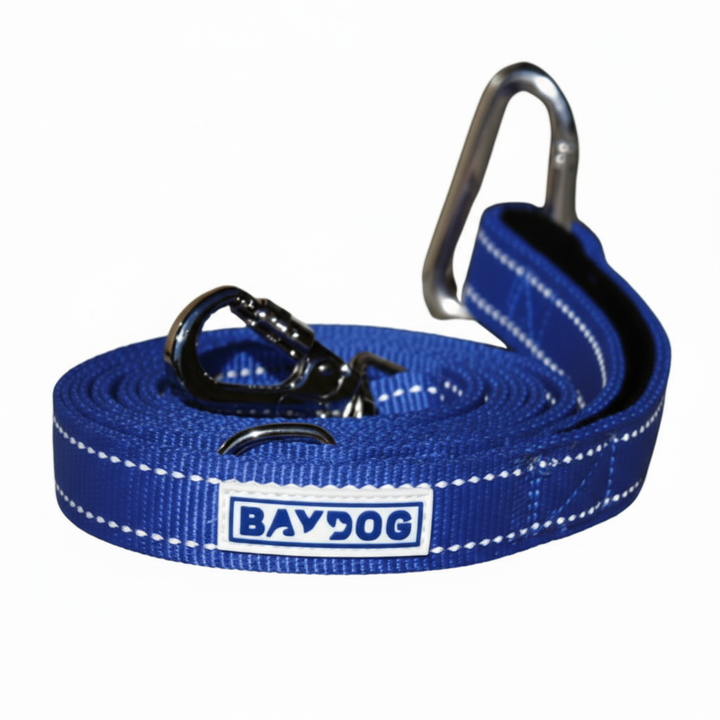 Hudson Bay Dog Leash
