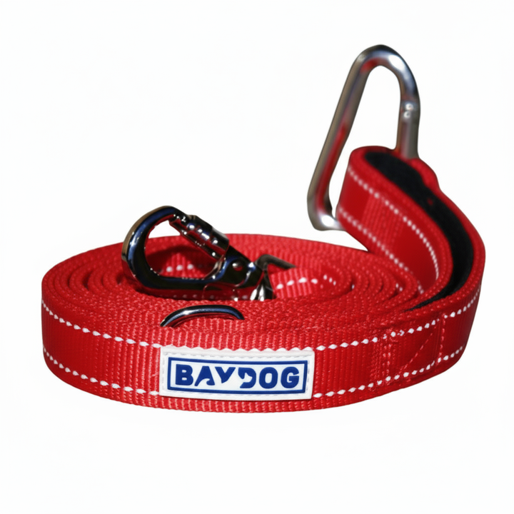 Hudson Bay Dog Leash