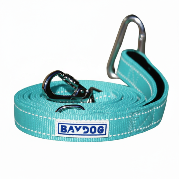 Hudson Bay Dog Leash
