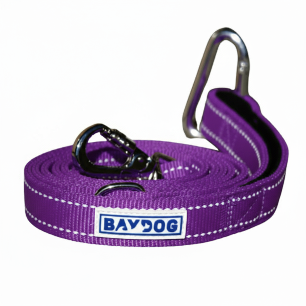 Hudson Bay Dog Leash
