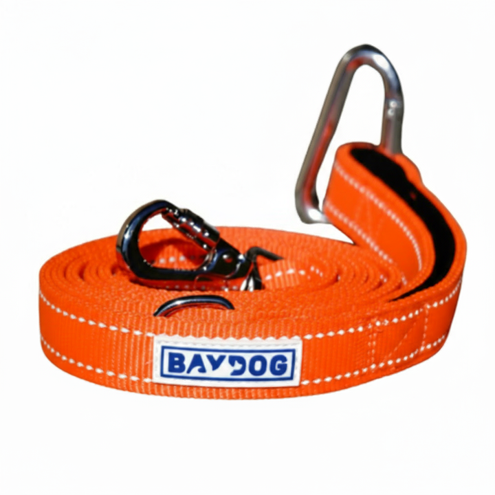 Hudson Bay Dog Leash