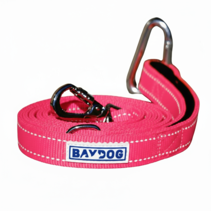 Hudson Bay Dog Leash