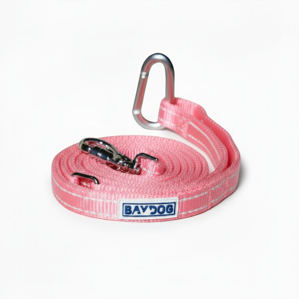 Pensacola Bay Dog Leash
