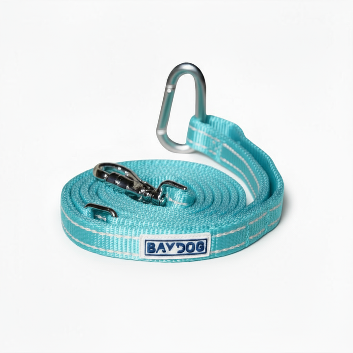 Pensacola Bay Dog Leash