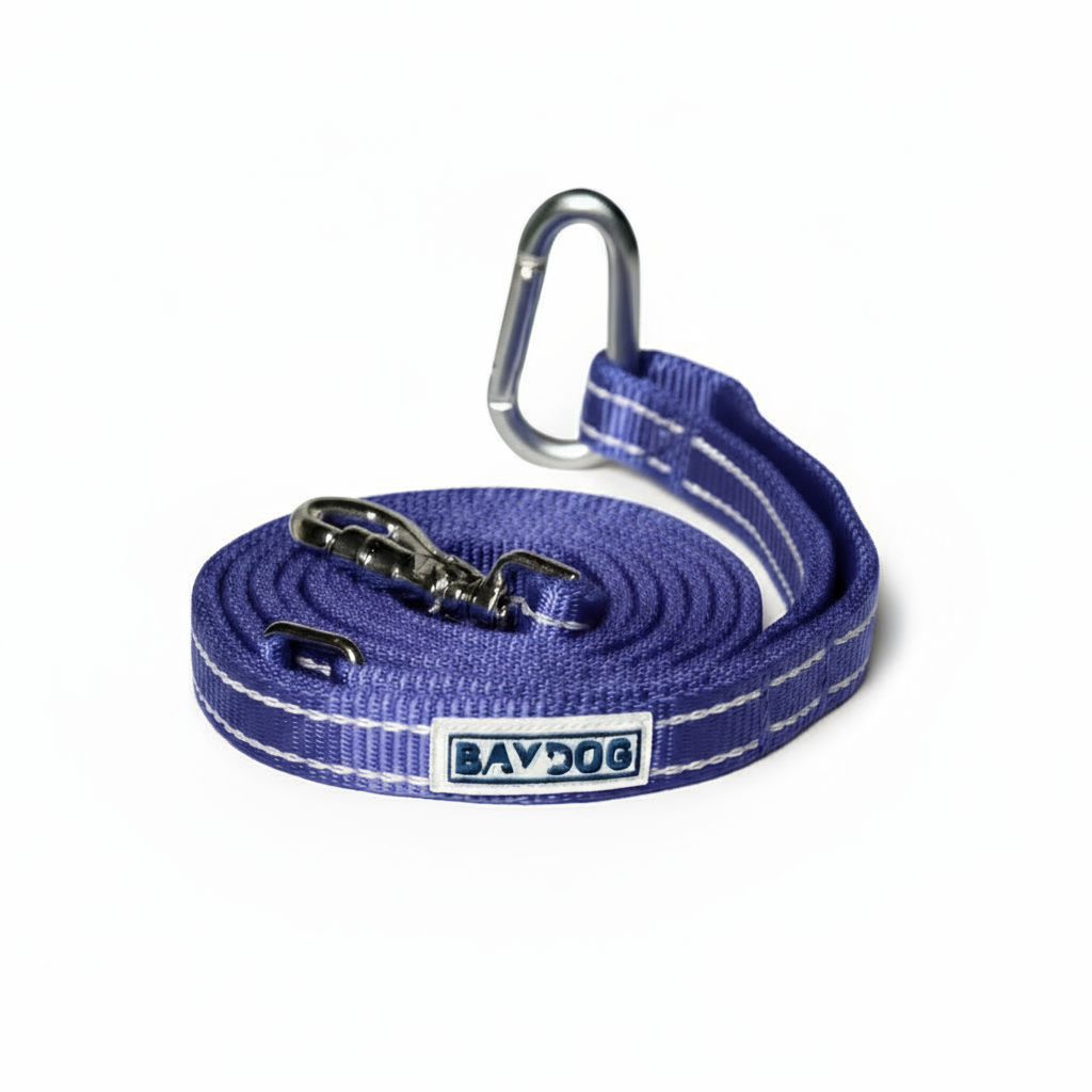 Pensacola Bay Dog Leash