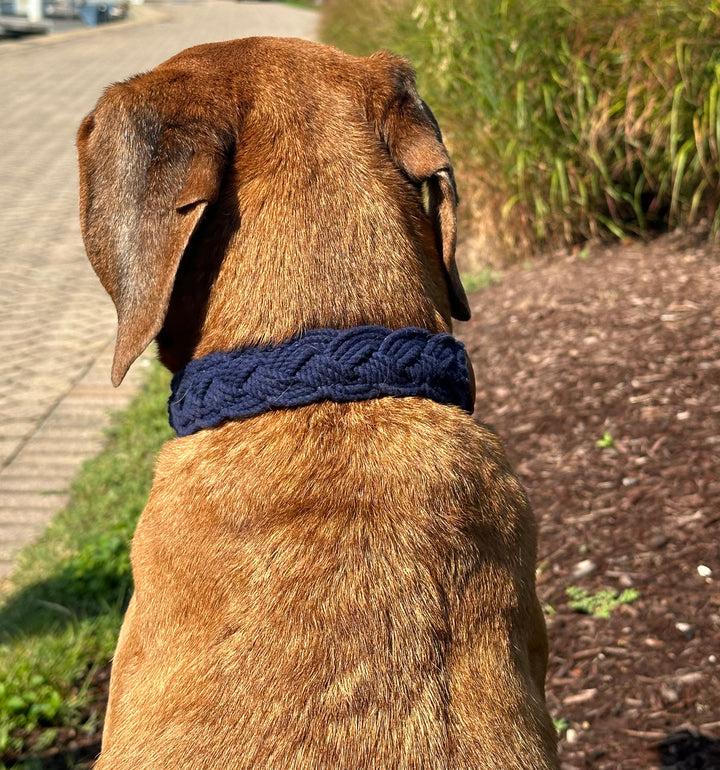 Seaside Collar