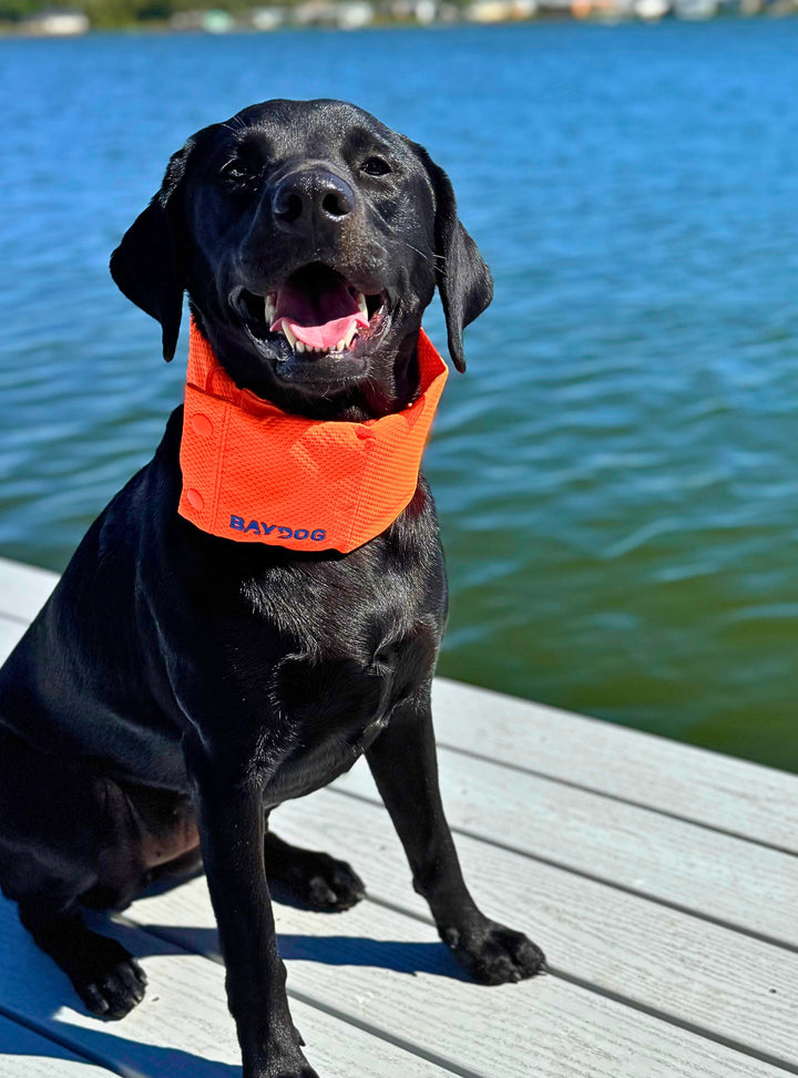 Arctic Bay Cooling Collar