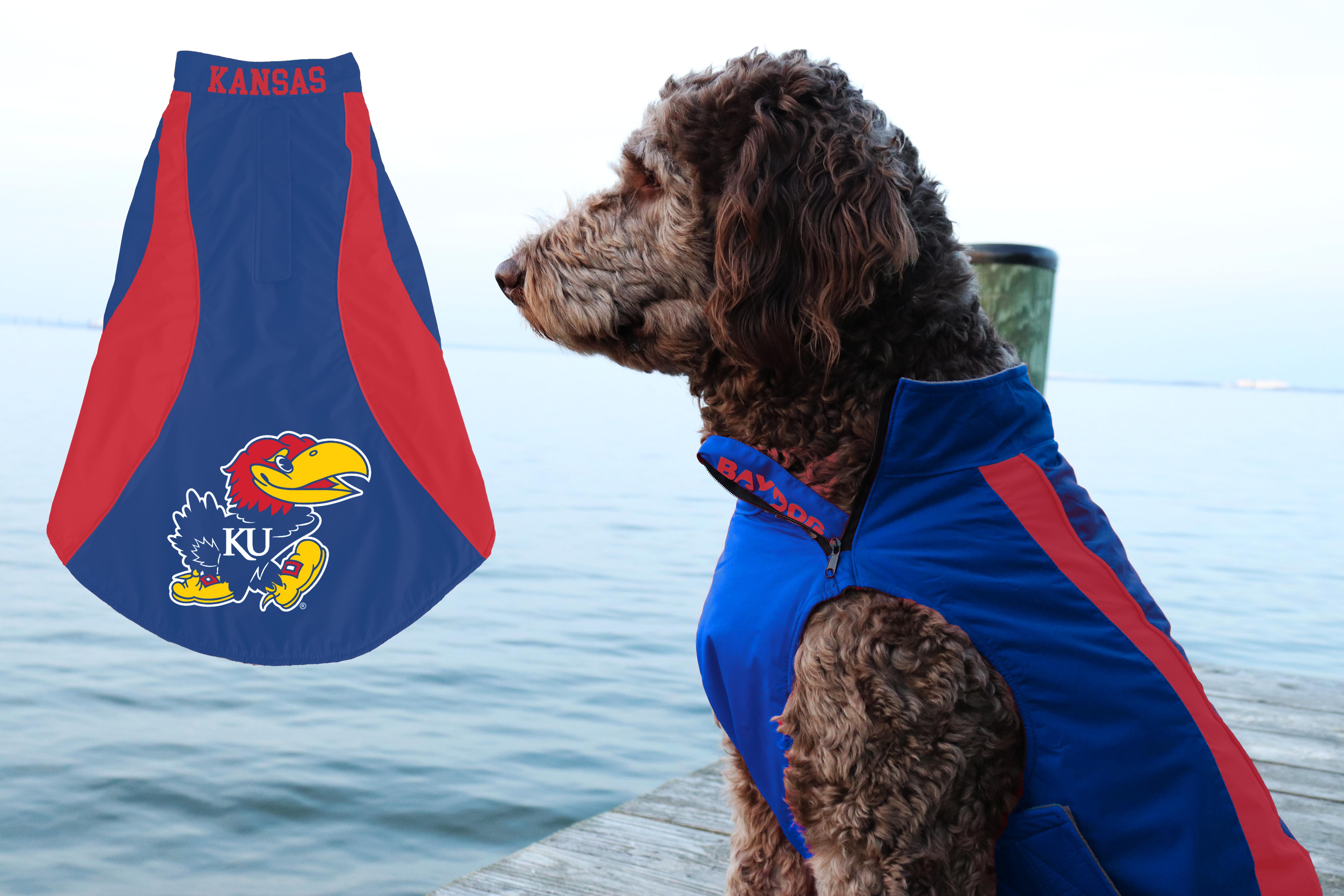 All Star Dogs Kansas Jayhawks Hundehalsband Mit Schleife, 1 Zoll Breit, Blau, Für Kleine Hunde – Offiziell Lizenziert