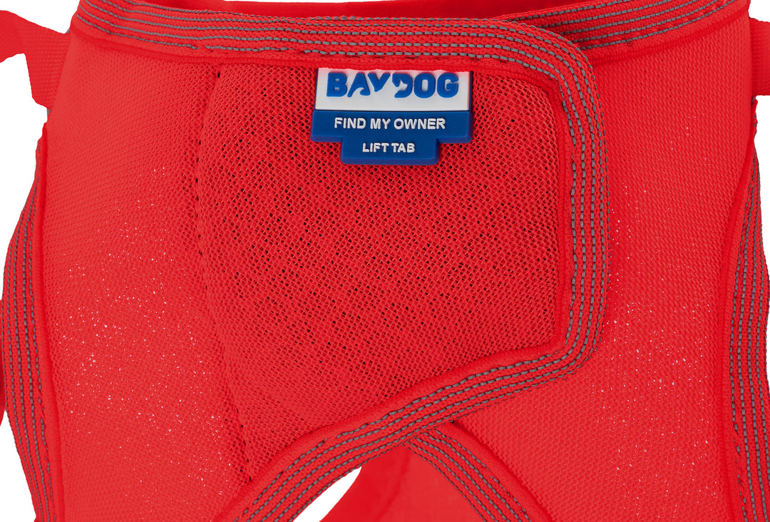 Liberty Bay Dog Harness