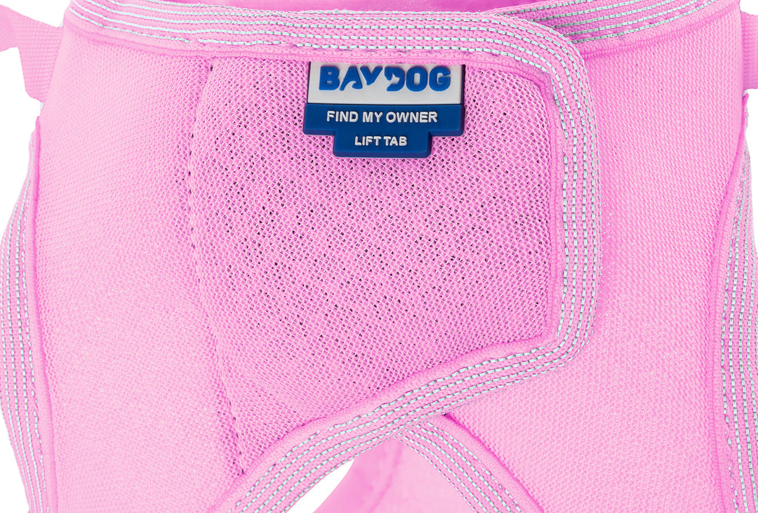 Liberty Bay Dog Harness