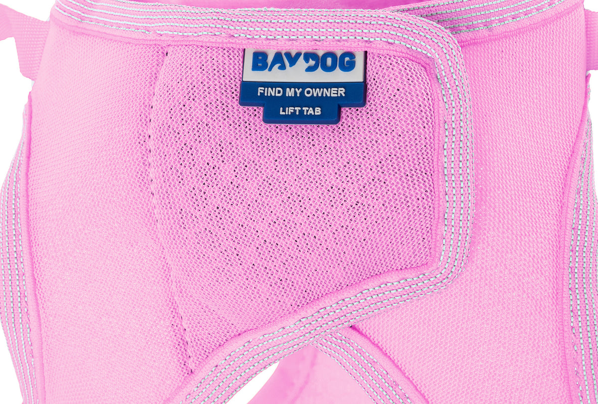 Liberty Bay Dog Harness