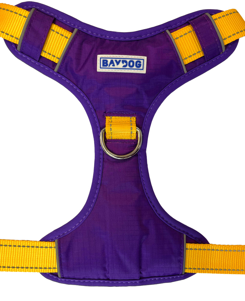 LSU