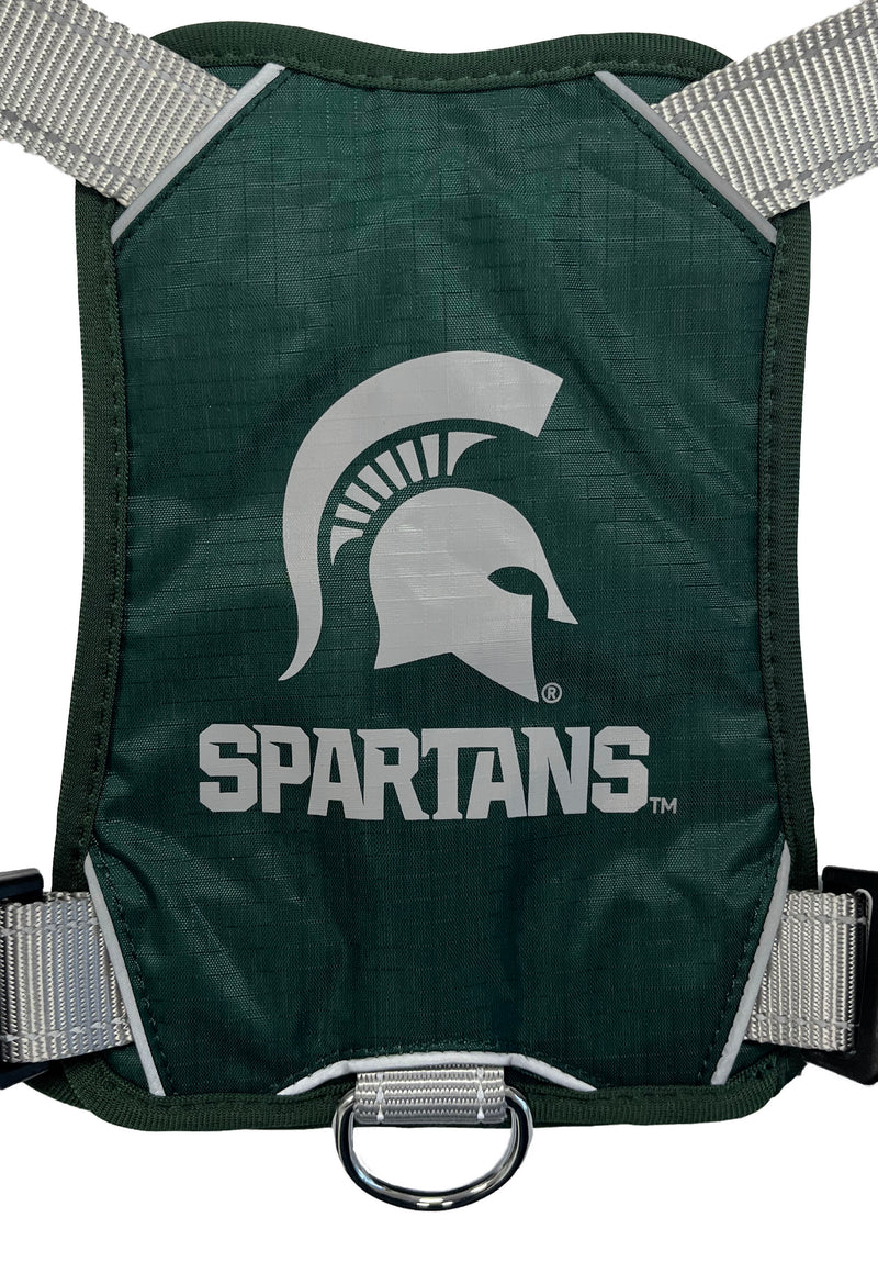Michigan State