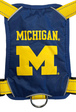 Michigan