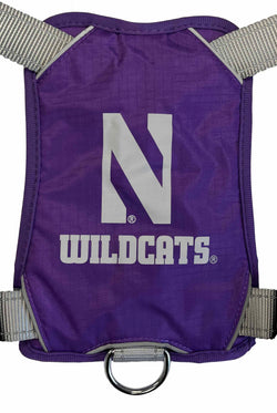 Northwestern