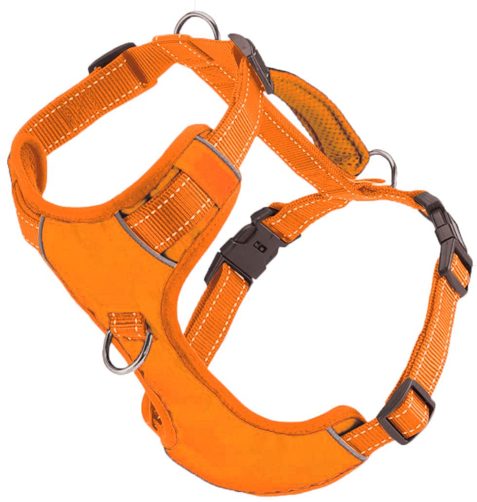 Colorful dog clearance harness