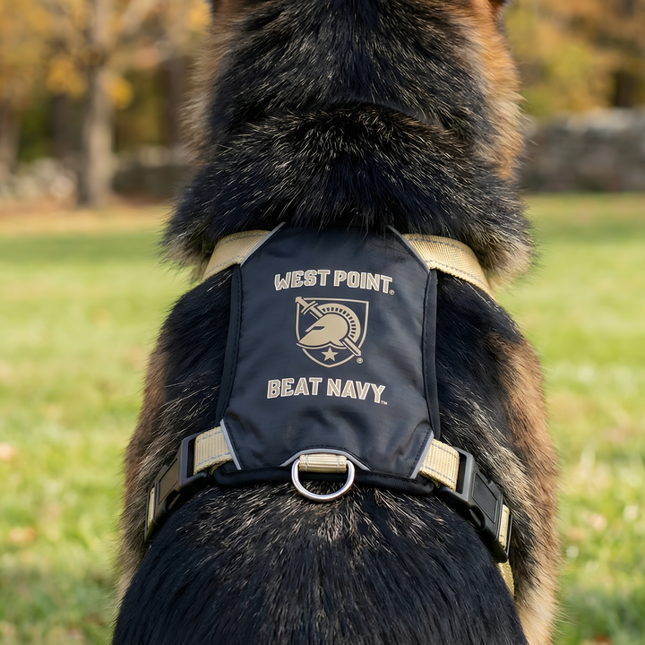 Army Black Knights Dog Harness