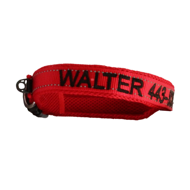 Embroidered Dog Collar