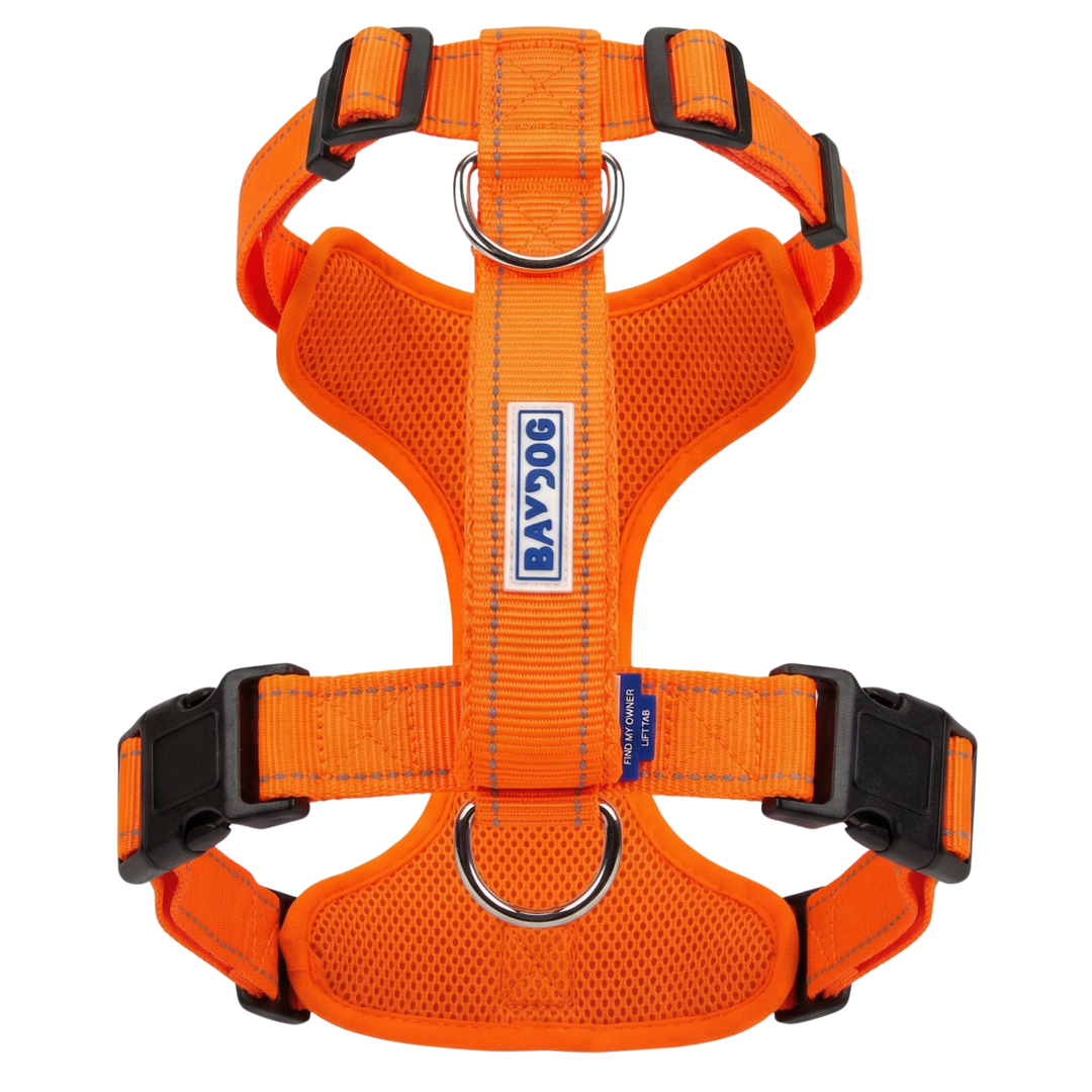 Chesapeake Bay Dog Harness