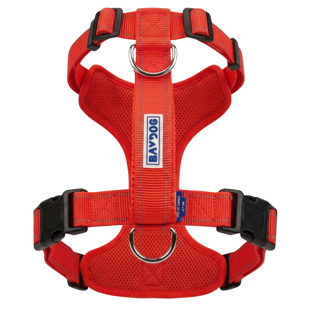Chesapeake Bay Dog Harness