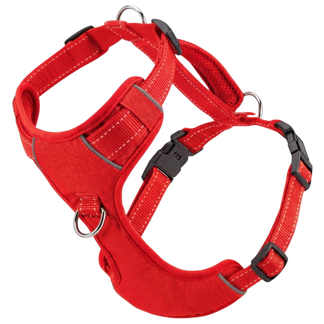 Chesapeake Bay Dog Harness