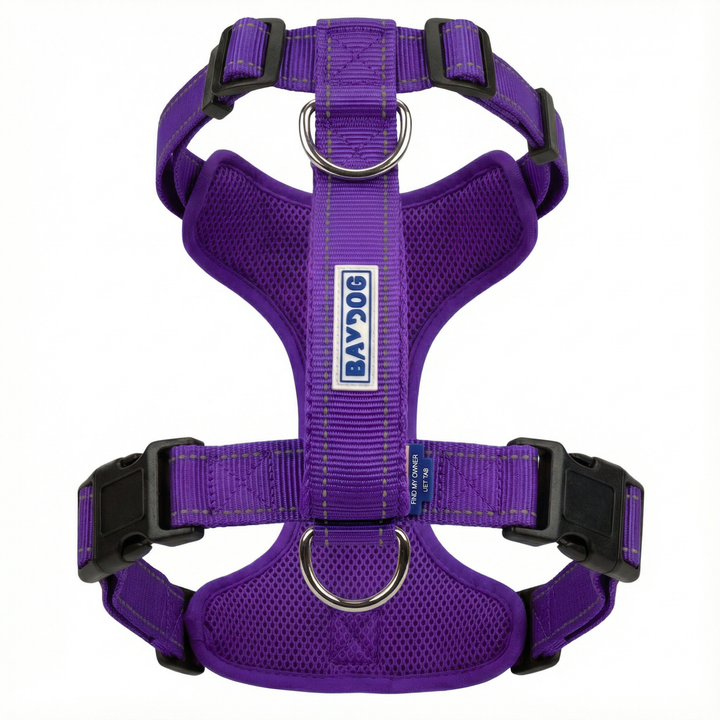 Chesapeake Bay Dog Harness