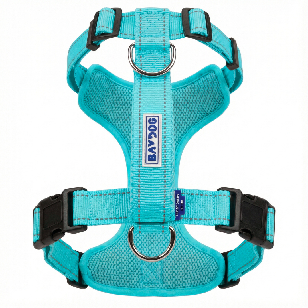 Chesapeake Bay Dog Harness