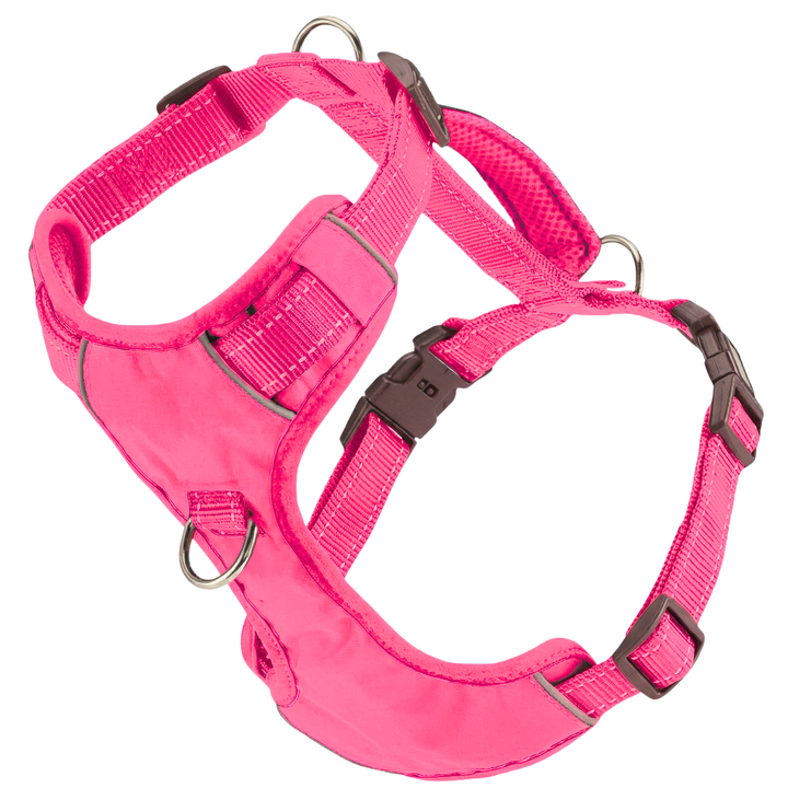 Chesapeake Bay Dog Harness