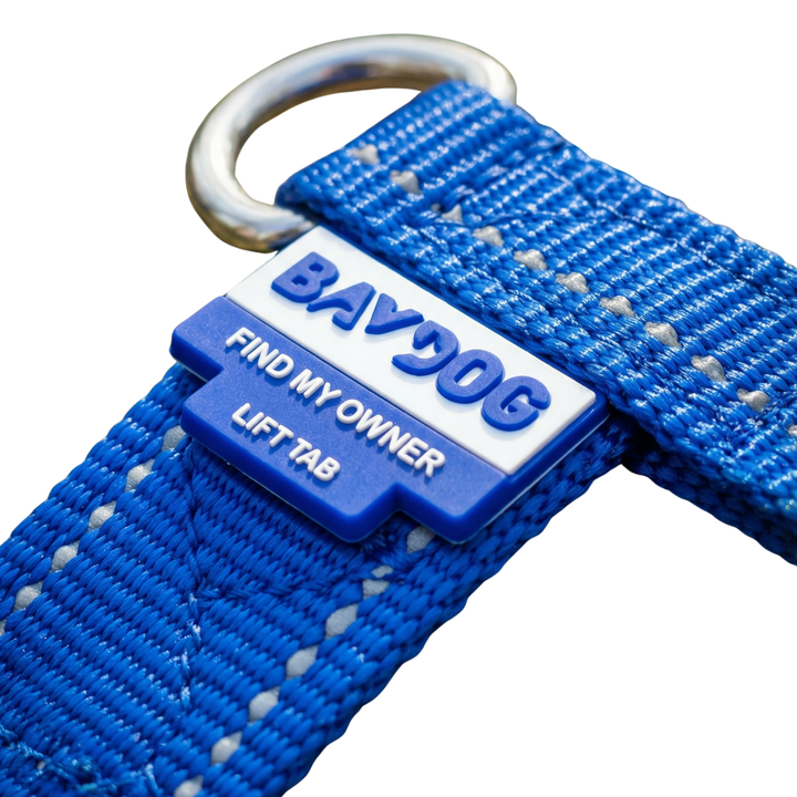 Chesapeake Bay Dog Harness