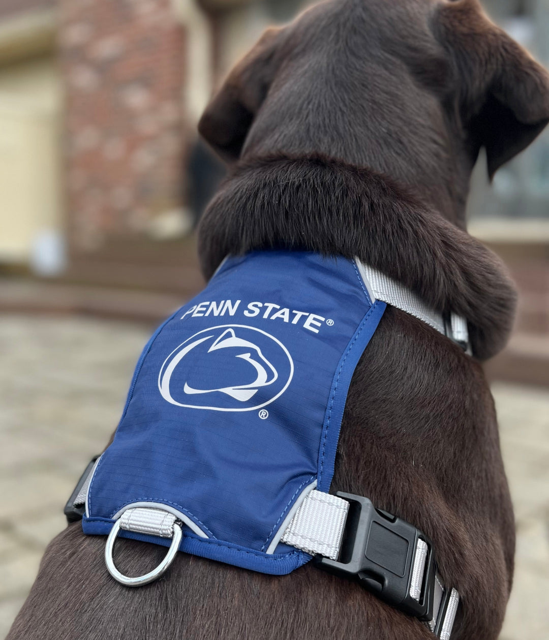Penn State Nittany Lions Dog Fleece Penn State Nittany Lions Dog Fleece