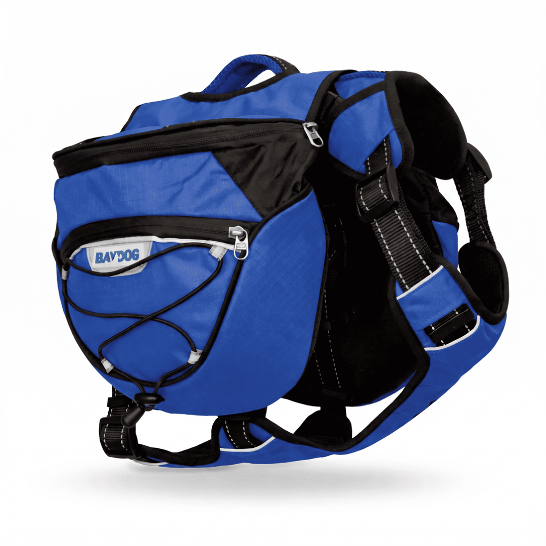 Saranac Dog Backpack