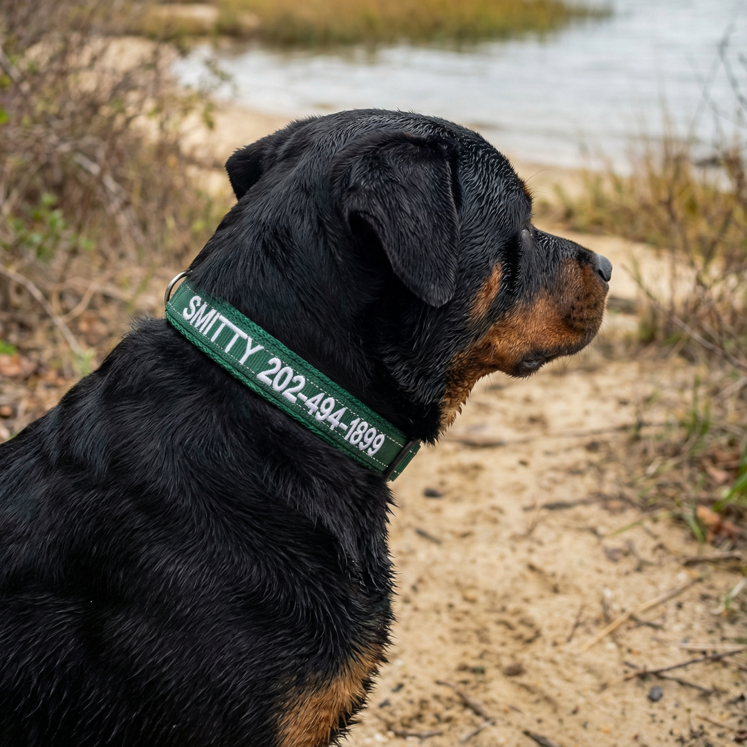 Embroidered Dog Collar