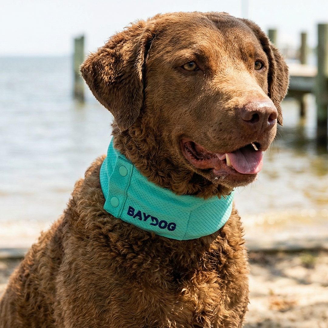 Arctic Bay Cooling Collar