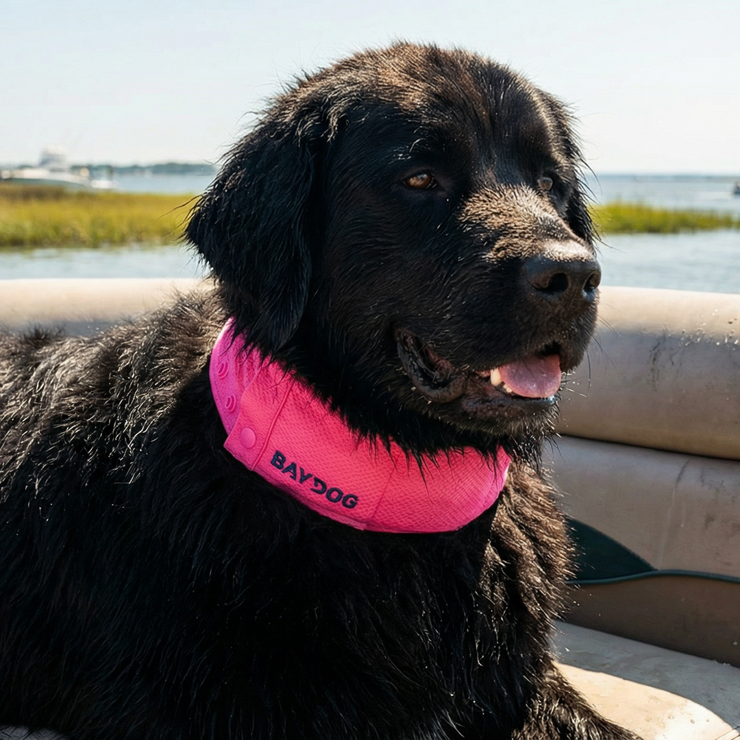 Arctic Bay Cooling Collar