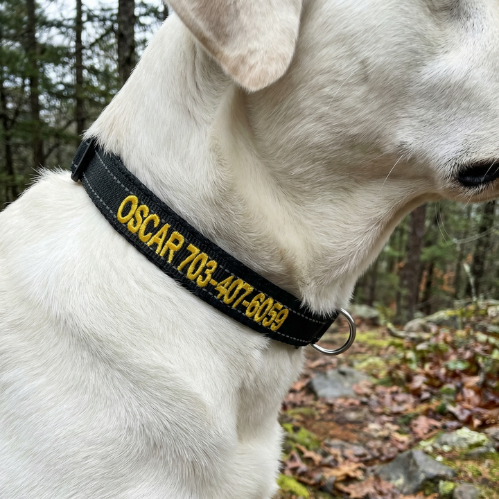 Embroidered Dog Collar